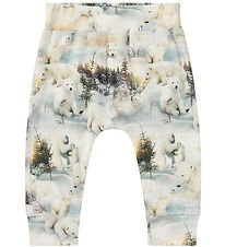 Molo Hosen - Sammy - Snowy Bären