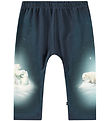 Molo Trousers - Sabb - Polar Cubs