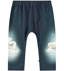 Molo Hosen - Sabb - Polar Cubs