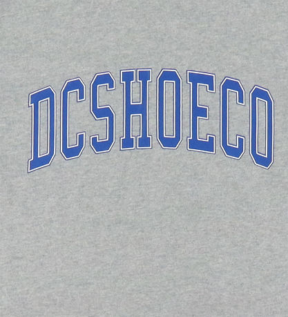 DC T-skjorte - Varsity - Grå