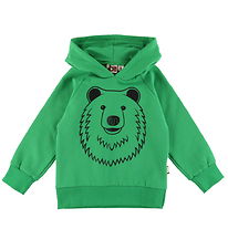 DYR-Cph Kapuzenpullover - Tiergebrüll - Green Umrissbär