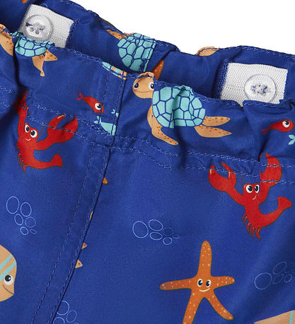 Name It Swim Shorts - NmmZeus - Surf The Web/Turtle