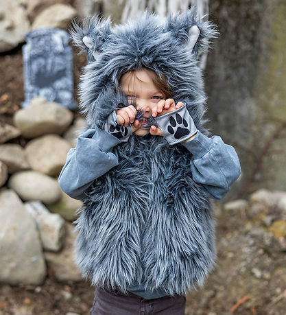 Great Pretenders Costume - BIG Bad Wolf - Grey