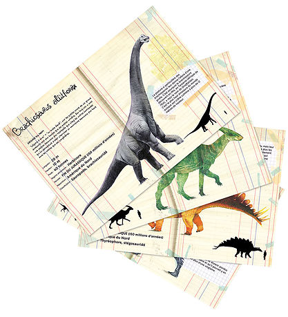 Vilac Magnete - 21 st. - Dinosaurier aus dem Naturhistorischen M