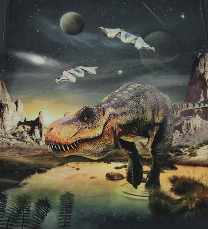 Molo T-shirt - Riley - T-Rex Planet