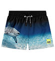 Molo Swim Shorts - UV50+ - Niko - Faded Shark