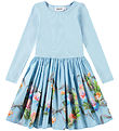 Molo Dress - Casie - Celebration