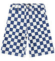 Molo Shorts - Aubery - Best Blue Check