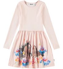 Robe Molo - Rib - Credence - Chevaux