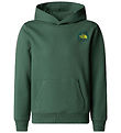 Sweat à Capuche The North Face - Graphique décontracté - Canard 