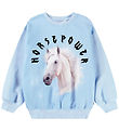 Molo Sweatshirt - Monti - HorsePower