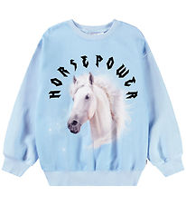 Sweat-shirt Molo - Monti - Puissance