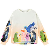Blouse Molo - Reniza - Groupe de Parrots