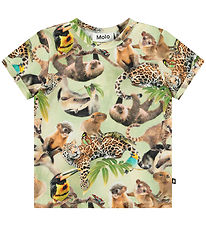 T-Shirt Molo - Easy - Jungle Louveteaux