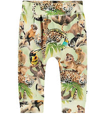 Pantalon Molo - Sammy - Jungle Louveteaux