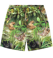 Shorts Molo - Amil - Jungle Animals