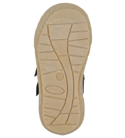 Angulus Prewalker - Dark Brown