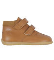 Angulus Prewalker - Cognac