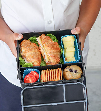MontiiCo Lunchbox w. 5 Rum - Bento Five - 980 mL - Dinosaur Coun
