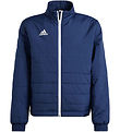 adidas Performance Vadderad jacka - ENT22 LJKTY - TENABL