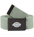 Dickies Bälte - Orcutt - Isberg Green