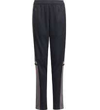 adidas Performance HolzLaufhose - SQ25 TR PNT Y - Black/Tegrfo