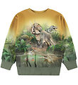 Molo Sweatshirt - Mattis - Bos Dinos