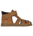 Angulus Sandalar - Koníak/Dark Brown