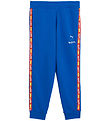 Puma x Hot Wheels Collegehousut - Team Royal M. Logonauhat
