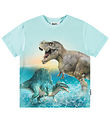 Molo T-shirt - Pink - Dino Splash