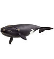 Schleich Wild Life - Northern Cape Whale - 19.5 cm - 14878