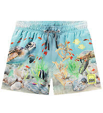 Molo Zwembroeken - UV50+ - Niko - Happy Ocean