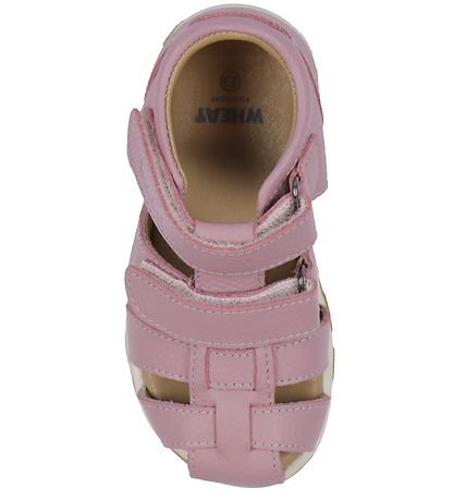 Wheat Sandalen - Gratis - Rose Frozen