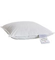Dozy Pillow - Musk - 40x45 cm - Junior - White