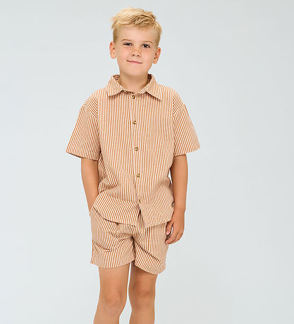The New Overhemd - TnOllie - Indiaan Tan Striped