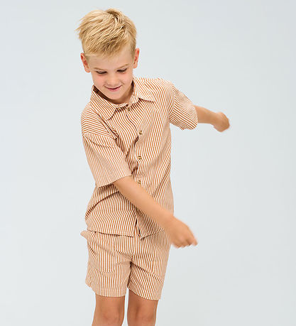 The New Overhemd - TnOllie - Indiaan Tan Striped