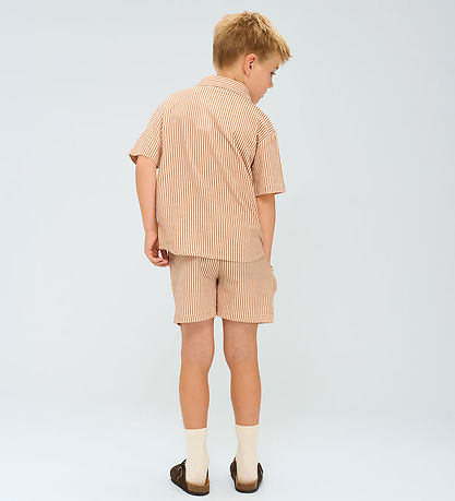 The New Overhemd - TnOllie - Indiaan Tan Striped