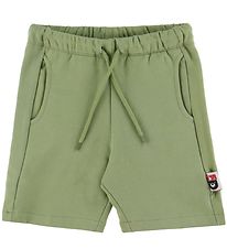 ANIMALS Sweat Shorts - AnimalsSafari - Sage