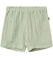 Wheat Shorts - Muslin - Luca - Soft Mint