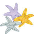 Zwemmen Essentials Duikgewichten - 3-pack - Sea Sterren