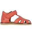 Wheat Sandals - Lowe - Coral