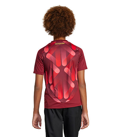 adidas Performance Football Shirt - DFB A JSY Y - TECOBU