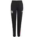 adidas Performance Trainingshose - AJAX TR PNT Y - Schwarz