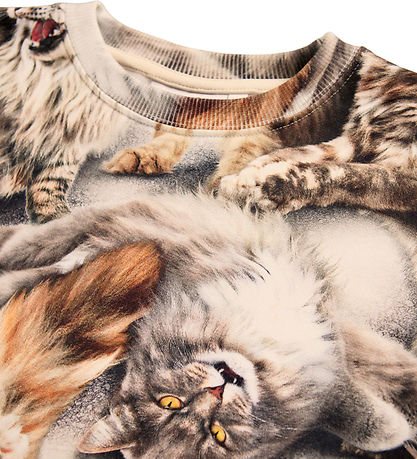 Molo Sweatshirt - Monti - Katthundar