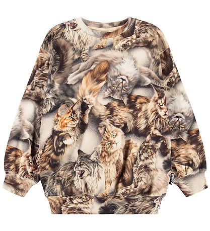 Molo Sweatshirt - Monti - Katthundar
