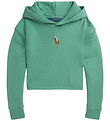 Polo Ralph Lauren Hoodie - Cropped - Green