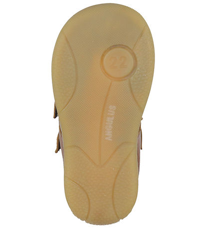 Angulus Prewalker - Prewalker - Cognac/Cognac
