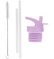 A Little Lovely Company Drinking bottle set - Lid/Straws/Brush