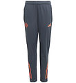 adidas Performance Treningsbukser - FC Bayern - Boonix
