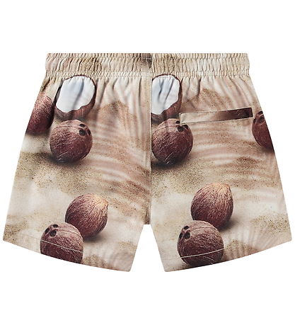 Molo Swim Shorts - UV50+ - Niko - Coconuts